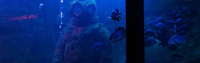 Le Grand Aquarium de Saint Malo Le Grand Aquarium de Saint-Malo