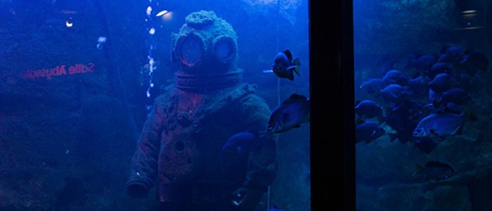 Le Grand Aquarium de Saint Malo Le Grand Aquarium de Saint-Malo