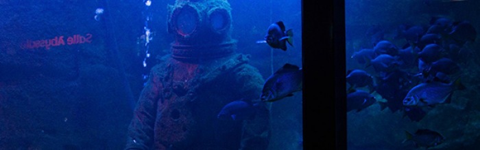 Le Grand Aquarium de Saint Malo Большой аквариум